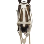 Juego 5 Piezas de Cuero Doble Blanco - Image 2