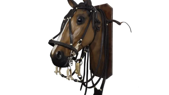 Juego 5 piezas de suela negra con presillas de cuero crudo