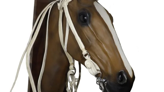 Cabezada, riendas y fiador de cuero blanco