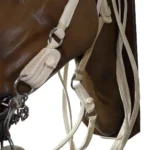 Cabezada, riendas y fiador de cuero blanco - Image 4