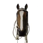 Cabezada, riendas y fiador de cuero blanco - Image 3