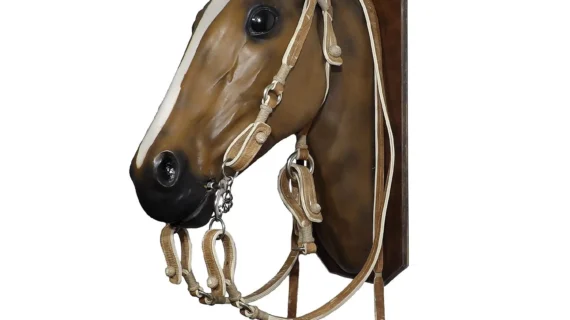 Juego de cabezada, riendas, fiador y maneas de cuero crudo