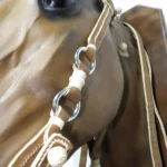 Juego de cabezada, riendas, fiador y maneas de cuero crudo con costura vista - Imagen 4