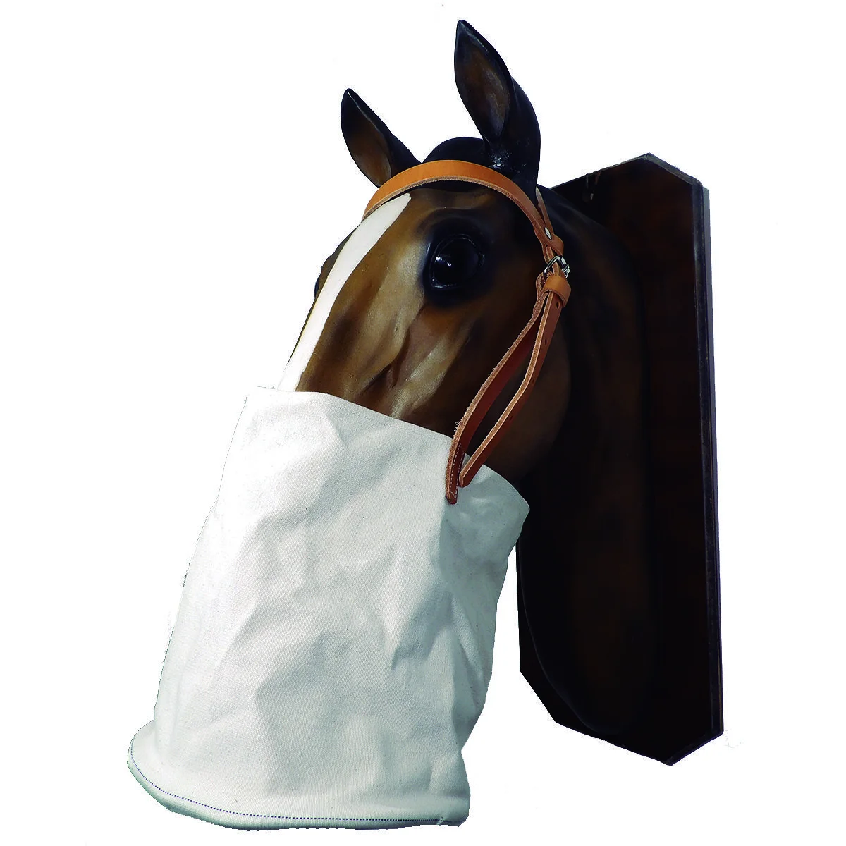 tcr-5260-2-1772138833.webp Morral de lona con tapa de suela - Image 1