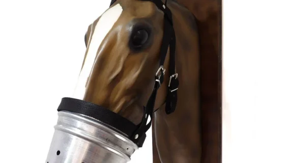 Trompeta de aluminio con cabezada nylon