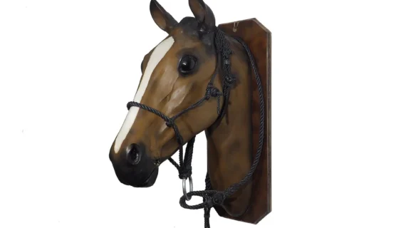 Bozal con cabestro de hilo torcido para palenquear para potrillo