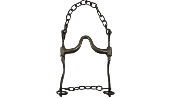 Freno de hierro pulido pata 5 puente alto