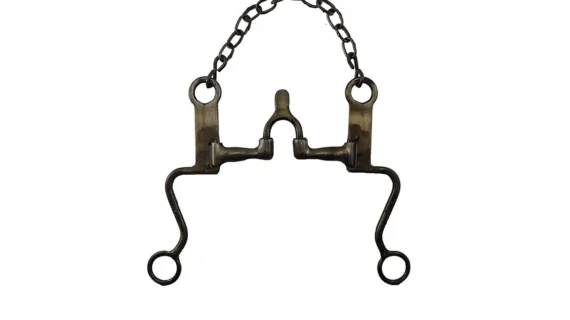 Freno de hierro pulido pata S catedral cuatro movimientos