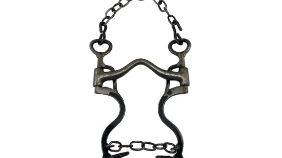 Freno de hierro pulido pata 5 puente bajo