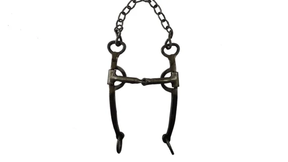 Freno filete de hierro pulido pata recta