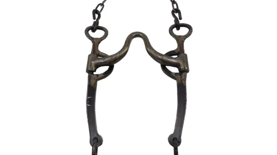 Freno de hierro pulido pata recta puente alto