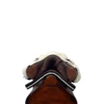 Recado chileno - Image 6