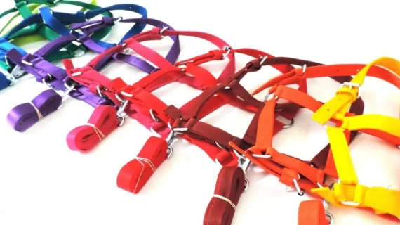 Bozal con cabestro de nylon para potrillo