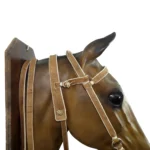 Juego de cabezada, riendas, fiador y maneas de cuero crudo cosidas con hilo - Imagen 5